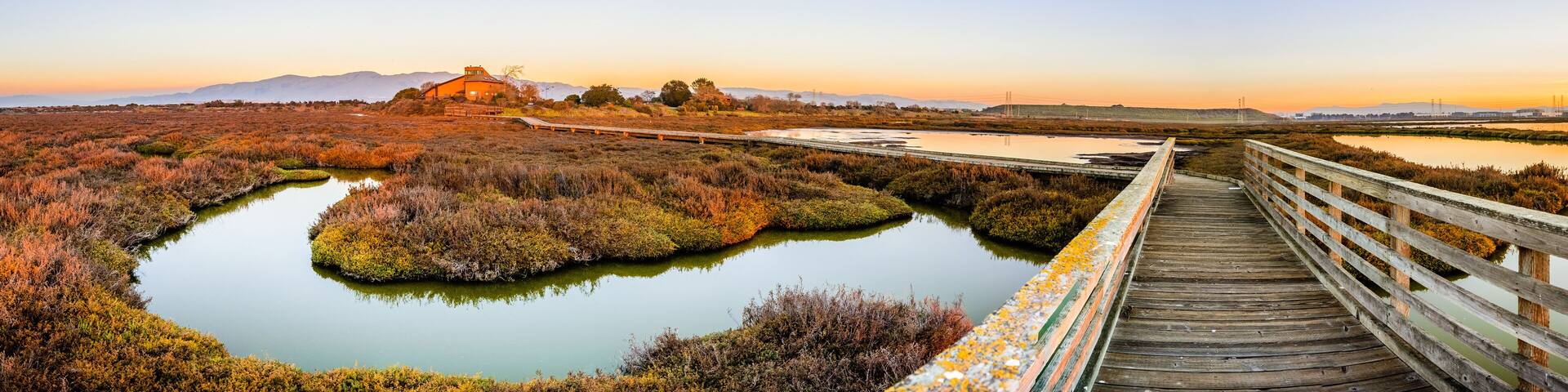 Wooden boardwalk through the tidal marshes of Alviso, Don Edwards San Francisco Bay National Wildlife Refuge, San Jose, California; sunset view