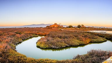Wooden boardwalk through the tidal marshes of Alviso, Don Edwards San Francisco Bay National Wildlife Refuge, San Jose, California; sunset view
