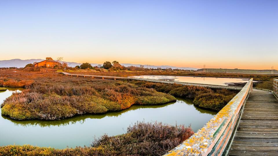 Wooden boardwalk through the tidal marshes of Alviso, Don Edwards San Francisco Bay National Wildlife Refuge, San Jose, California; sunset view