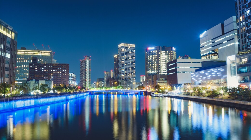 Osaka Tamae Bridge Night View from Tamino Bridge in Fukushima Ward, Osaka, Japan.