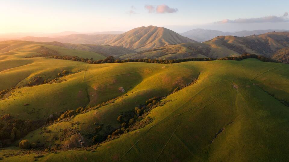 The beautiful, unspoiled hills of West Marin, with evening light.