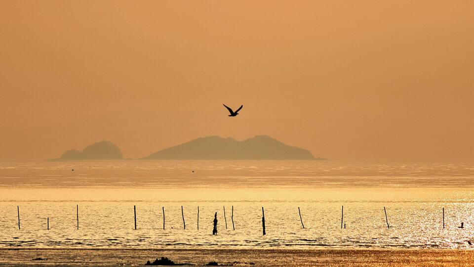 A seascape with a bird flying over the water, a distant island, and a fence along the shore.