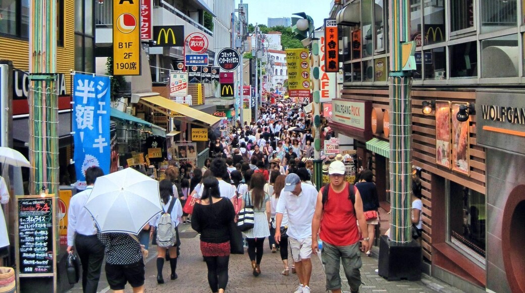 The best place for fashion complete with kawaii neko #Tokyo #Japan #Harajuku