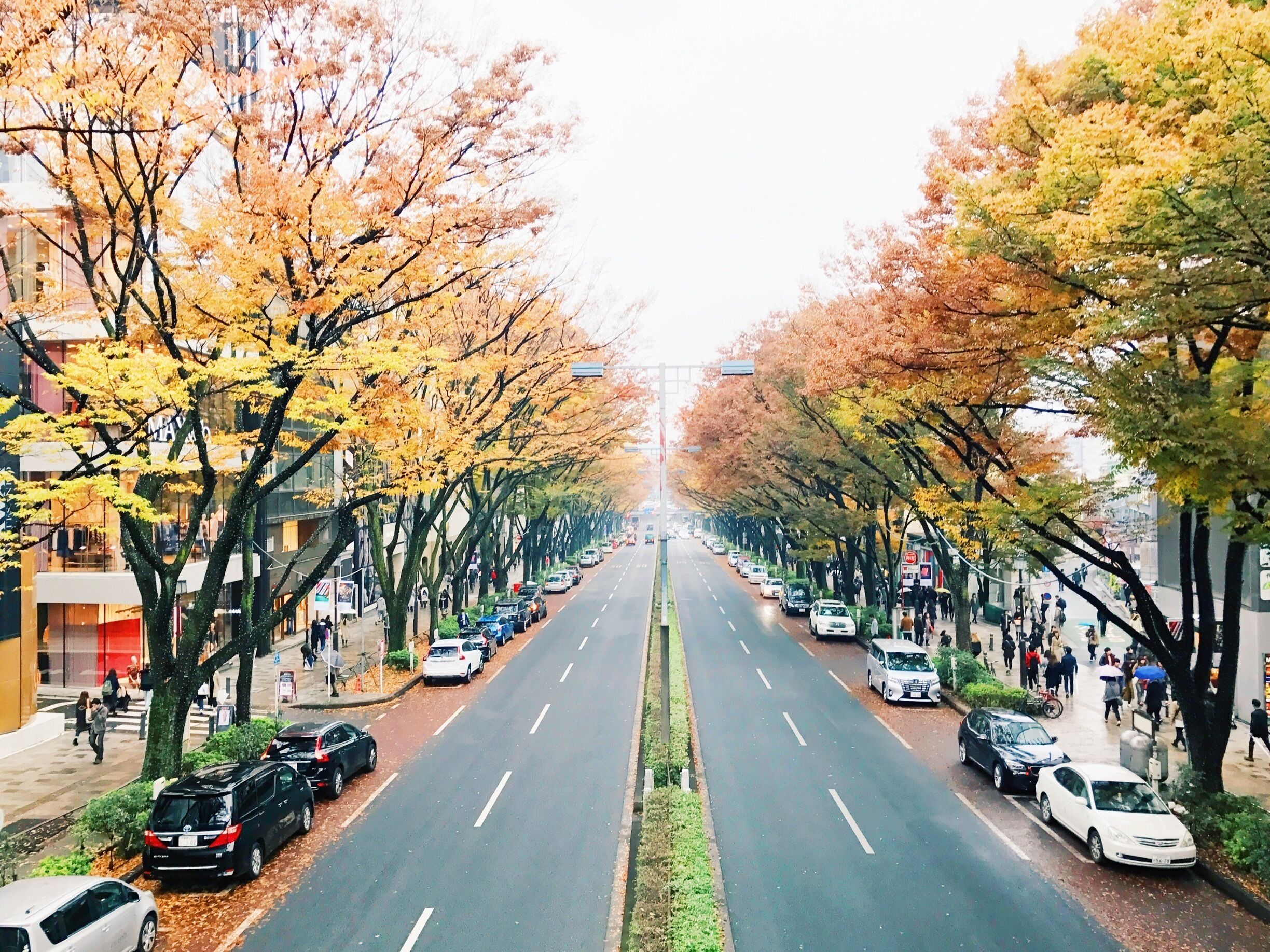 The Beverly Hills of Tokyo #lifeatexpedia