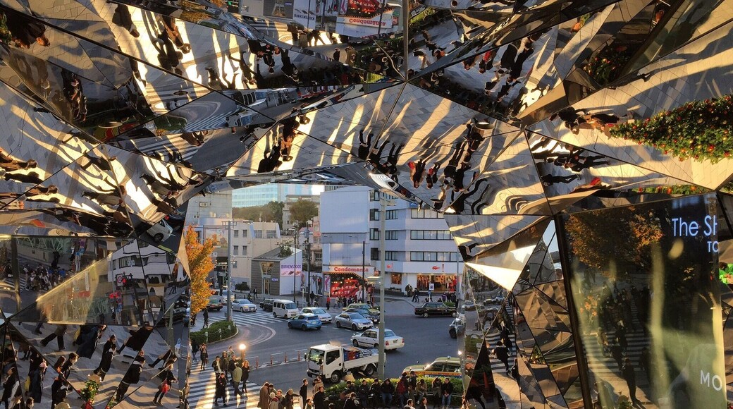 I discovered my inner shopaholic in Harajuku, Tokyo #lifeatexpedia #my2016 #tokyo