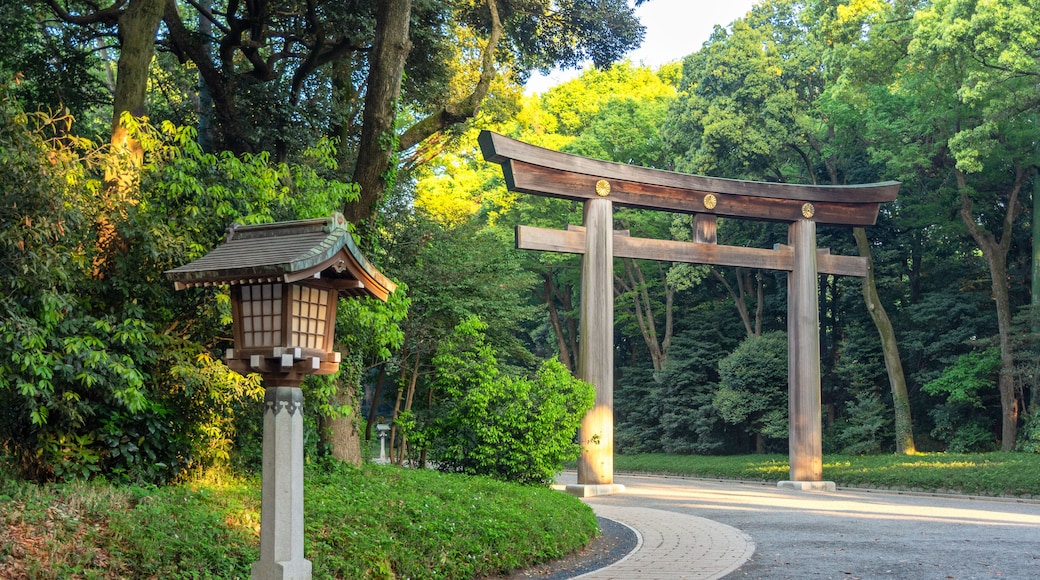 Torii gate leading to the Meiji Shrine complex, Meiji Jingu in Tokyo, Japan