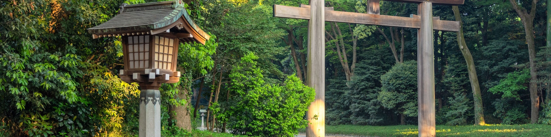 Ein traditionelles japanisches Torii-Tor, eine Steintor und ein gewundener Weg in einem bewaldeten Gebiet.