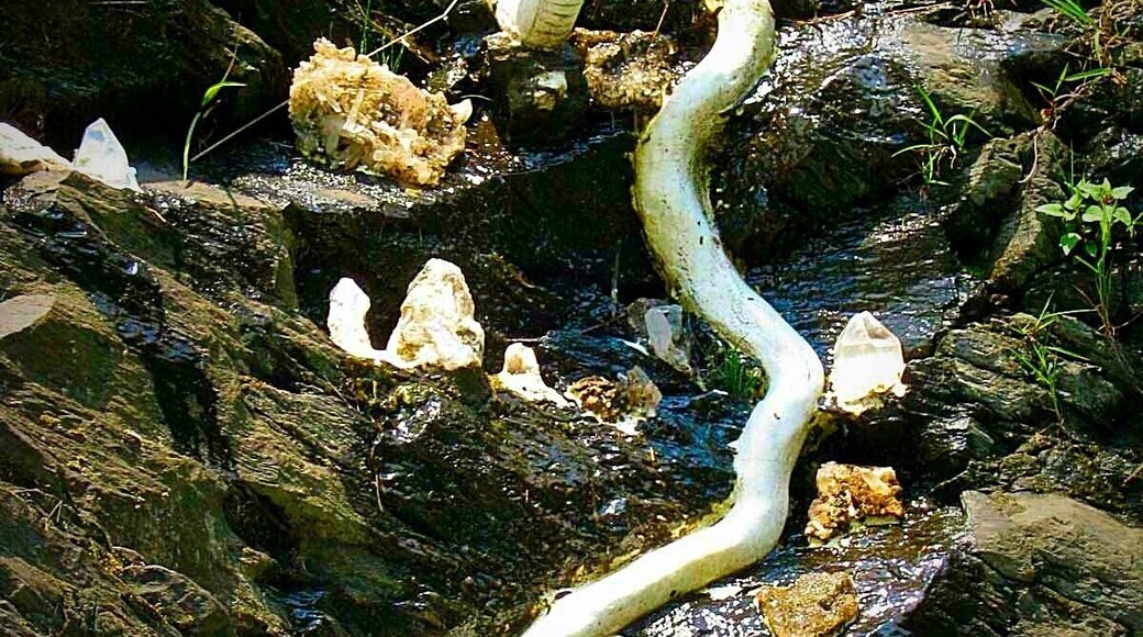 On the beautiful way to bhagsu falls from mcleodganj,is a bhagsu nag mandir and there was this magnificent statue of Shiva's snake right outside the temple.At first u get a lil scared too seeing it suddenly not realising that its not a real one 😳