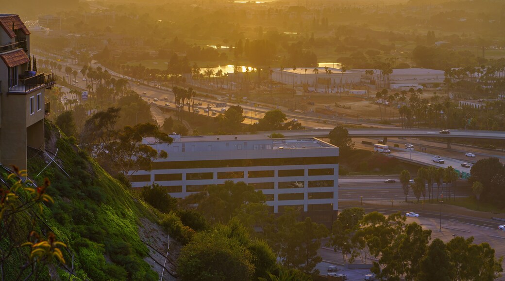 Golden Scene in University Heights, San Diego