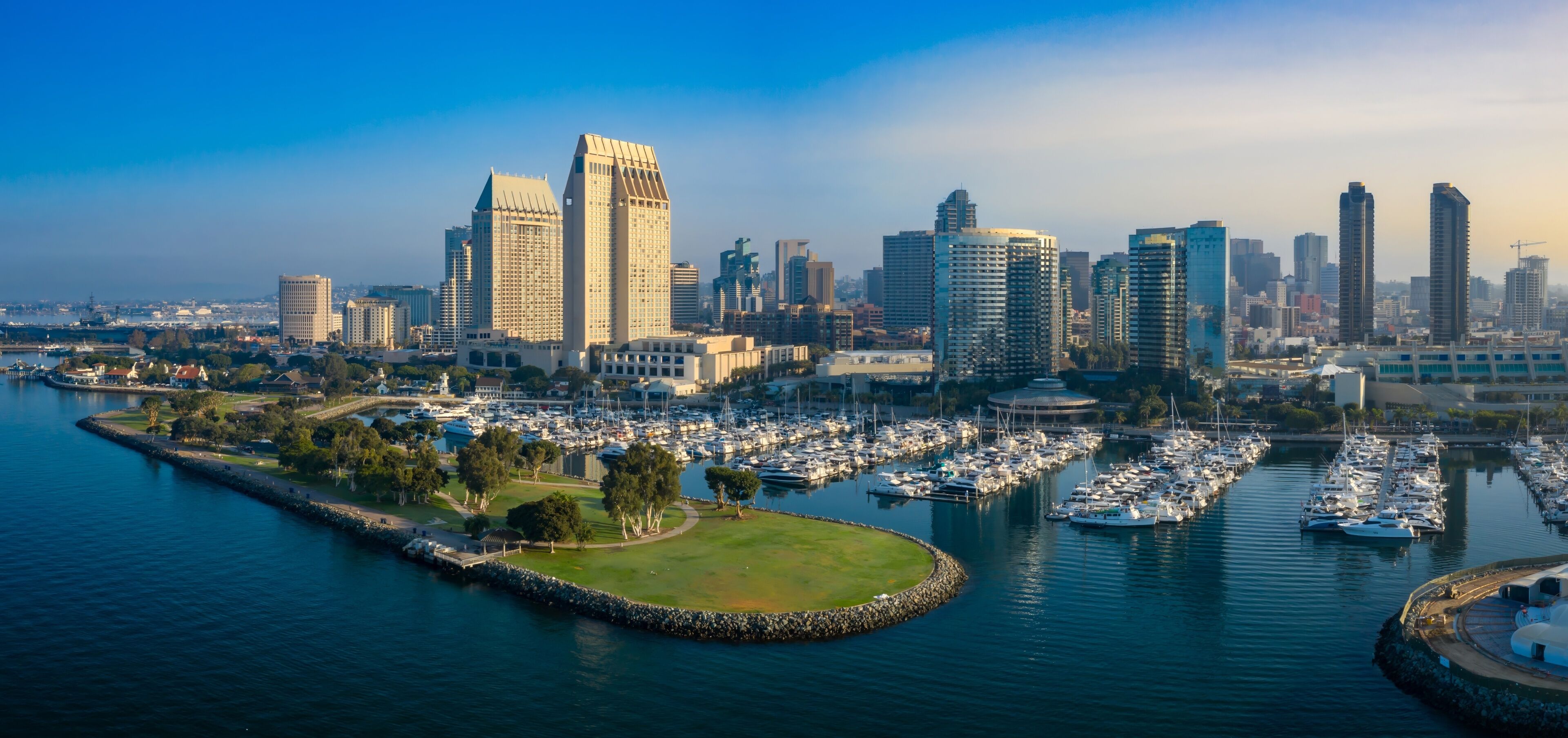 A marina with numerous boats, a city skyline with high-rise buildings, and a clear blue sky.