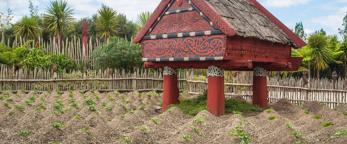 Te Parapara the traditional Maori garden in Hamilton gardens an iconic garden in Hamilton, New Zealand.