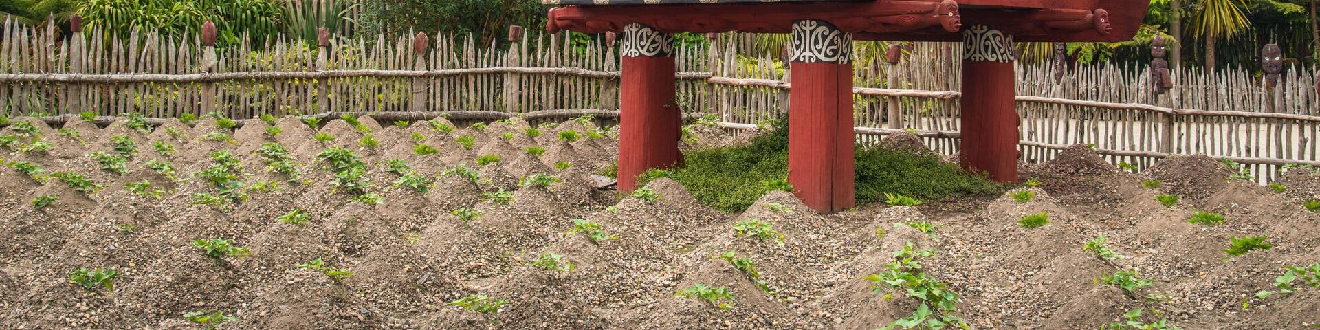 Te Parapara the traditional Maori garden in Hamilton gardens an iconic garden in Hamilton, New Zealand.