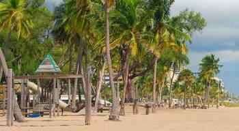 Wide anoramic view of Fort Lauderdale Beach, Florida