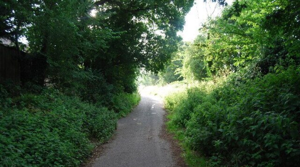 Earlham Green Lane - green lane A cycleway.