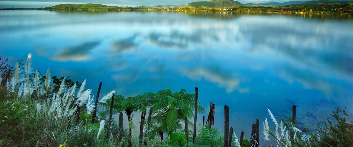 Rangataua Bay Sunset
