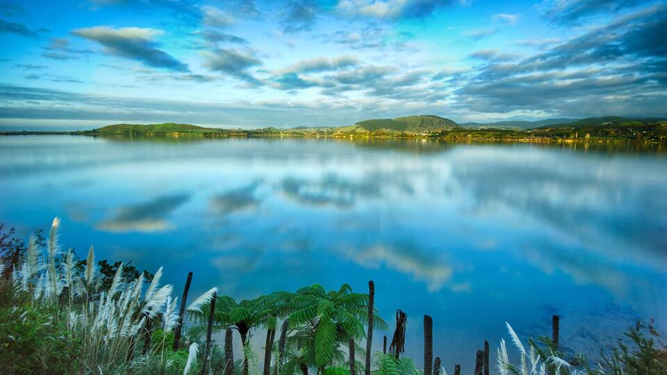 Rangataua Bay Sunset