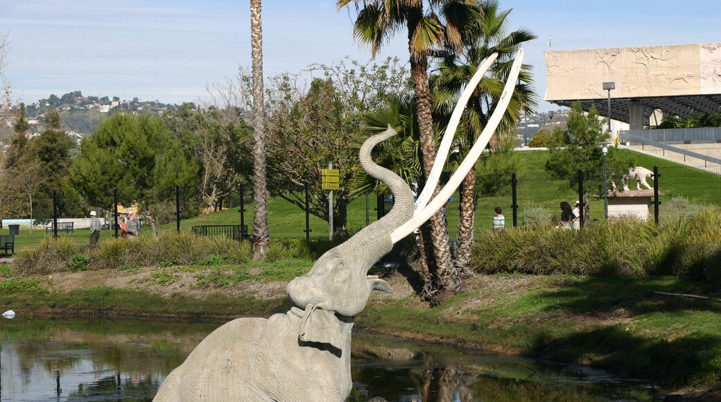 เบเวอร์ลีโกรฟ