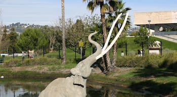 A Mammoth Display Showing a Mammoth Sinking in a Tar Pit
