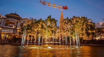 Night view of the Dancing Fountain in the Grove