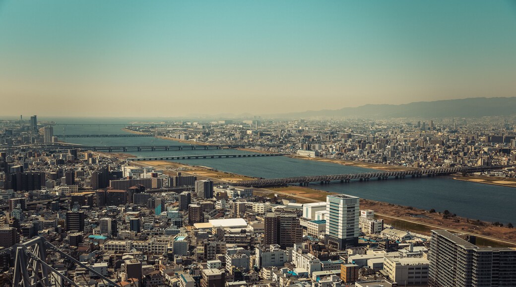 ๊ธฐํํธ๋ฆฌ