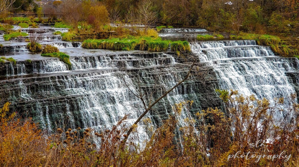 Out exploring the city of Galena. Took a little drive and found this beautiful spot.