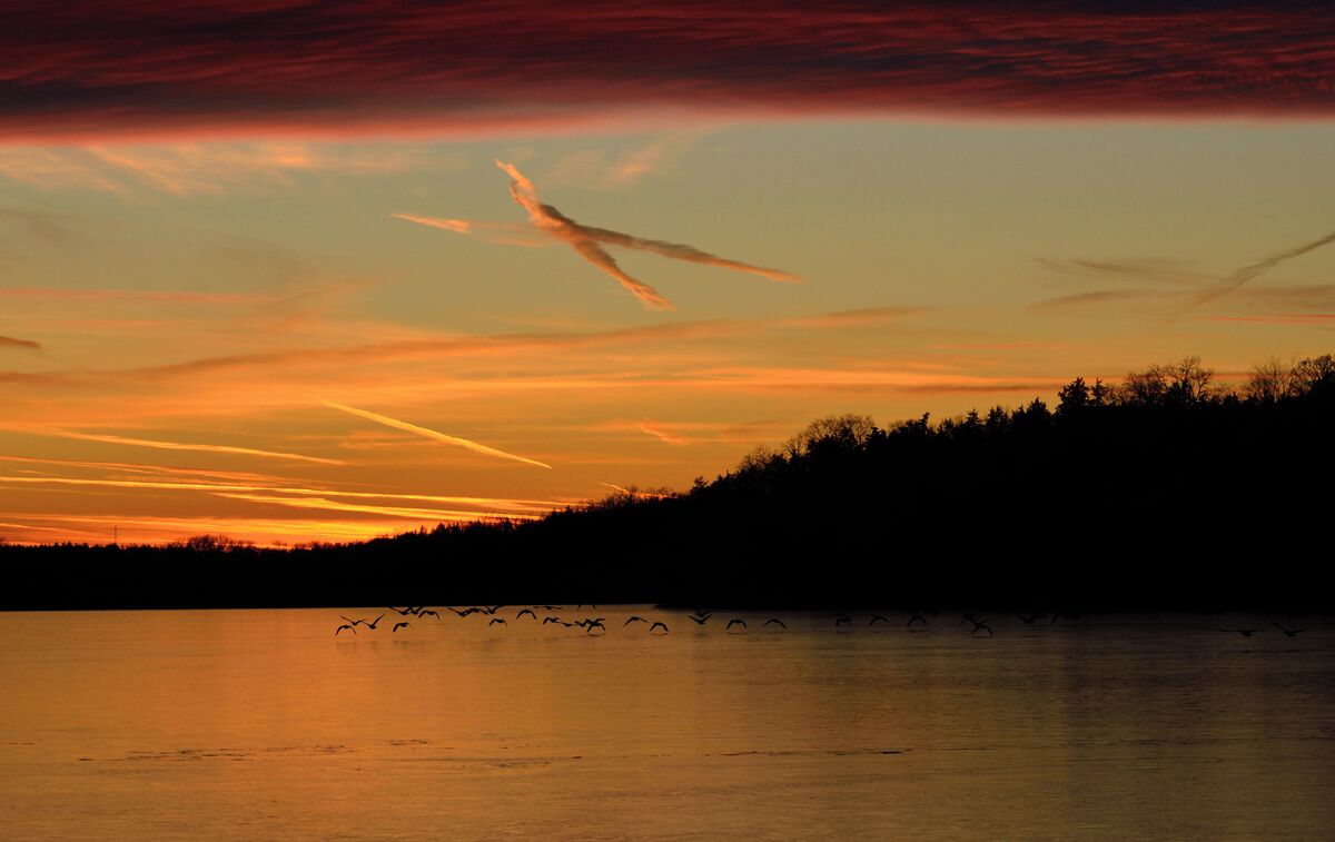 A great sunset on an early Winter day got interesting very quickly when a flock of geese came through. The colors on this night were beautiful.