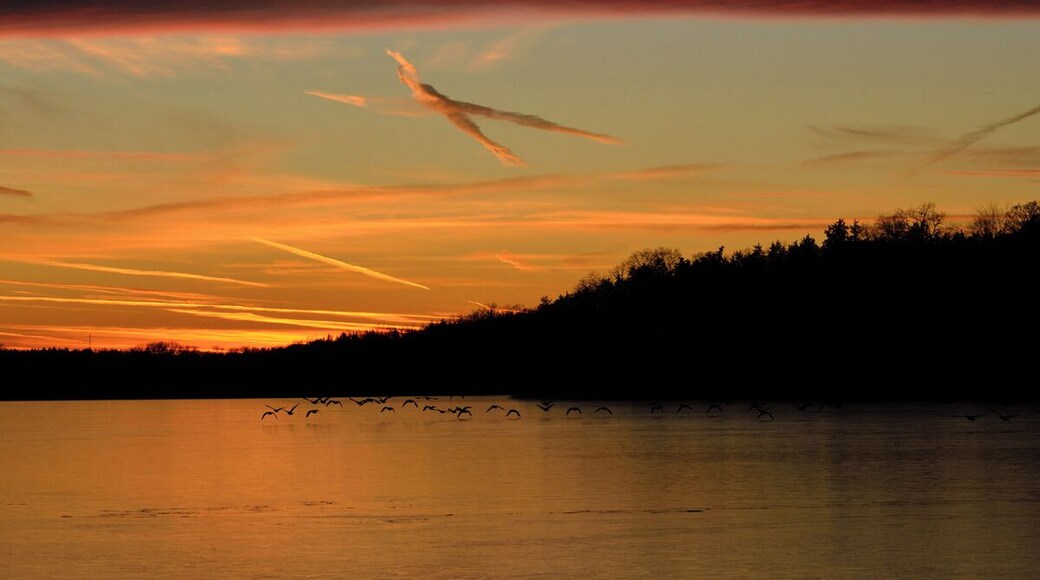 A great sunset on an early Winter day got interesting very quickly when a flock of geese came through. The colors on this night were beautiful.