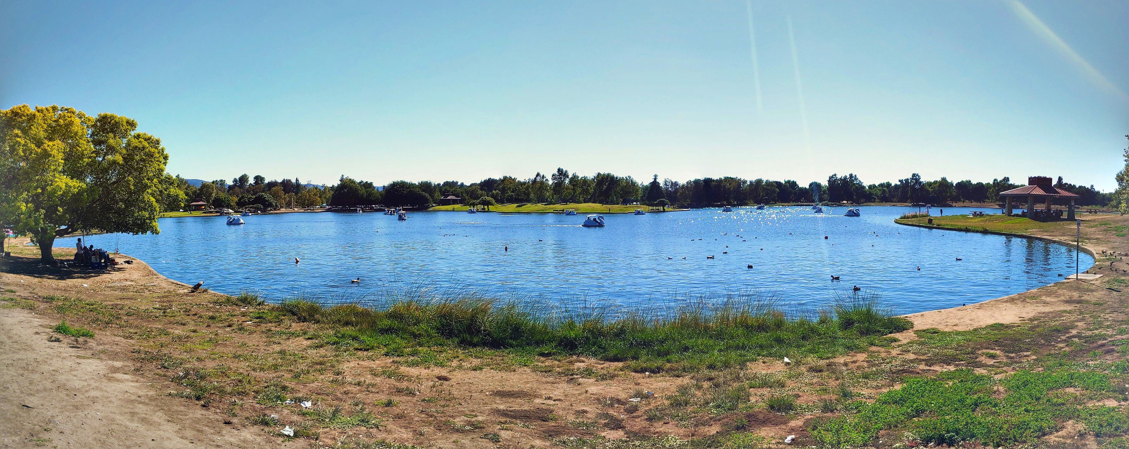 A large body of water with boats, a gazebo, and a tree.