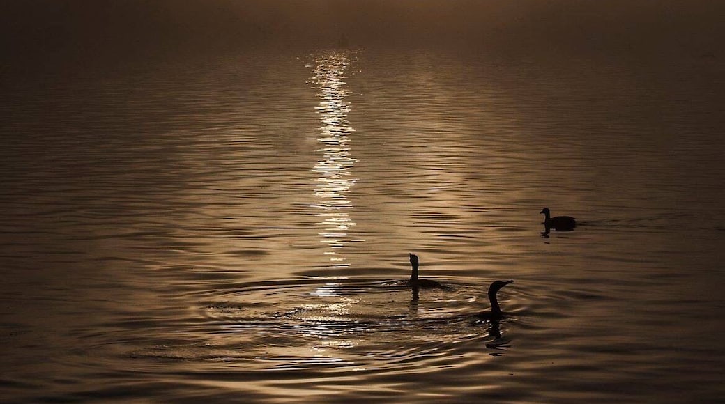 Good Morning | Sunrise at Lake Balboa Park #OnTheRoad