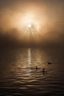 Good Morning | Sunrise at Lake Balboa Park #OnTheRoad