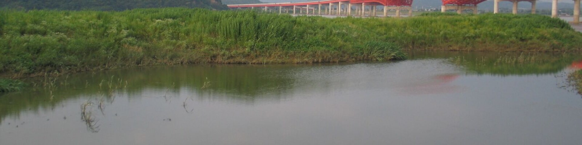 Gangseo Wetland Ecological Park Near Bangwha Bridge