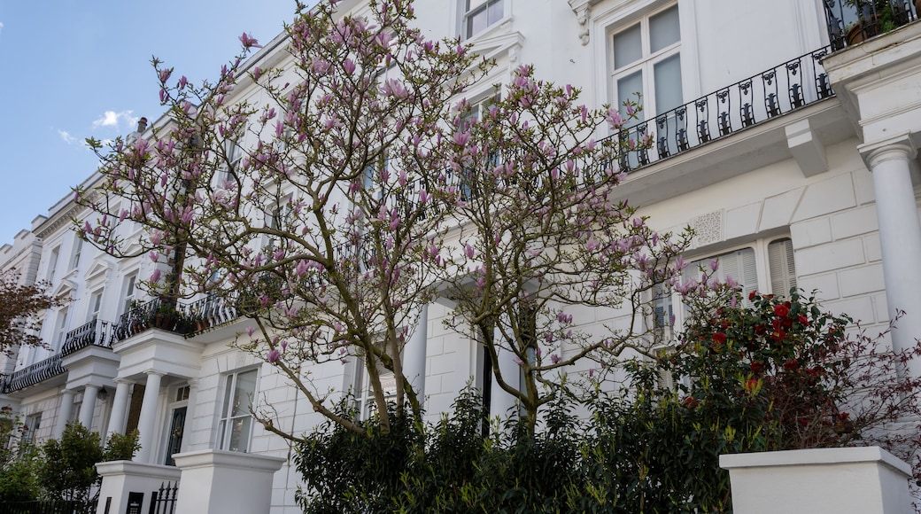 كينزينجتون