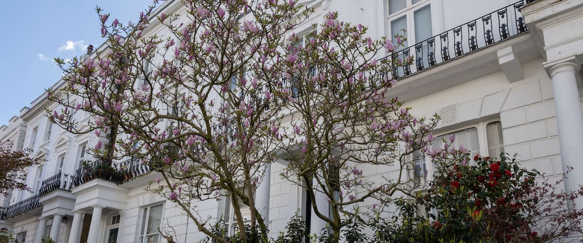 Notting Hill, walking on streets with white houses and flowering gardens in spring, city life, wealthy neighbourhoods in London, UK