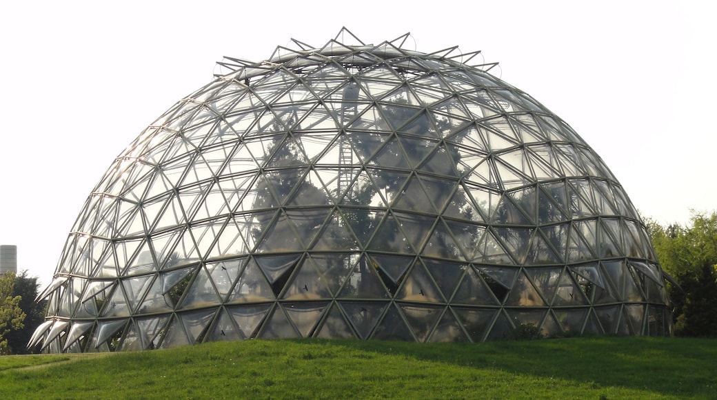 Düsseldorf Botanischer Garten Gewächshaus