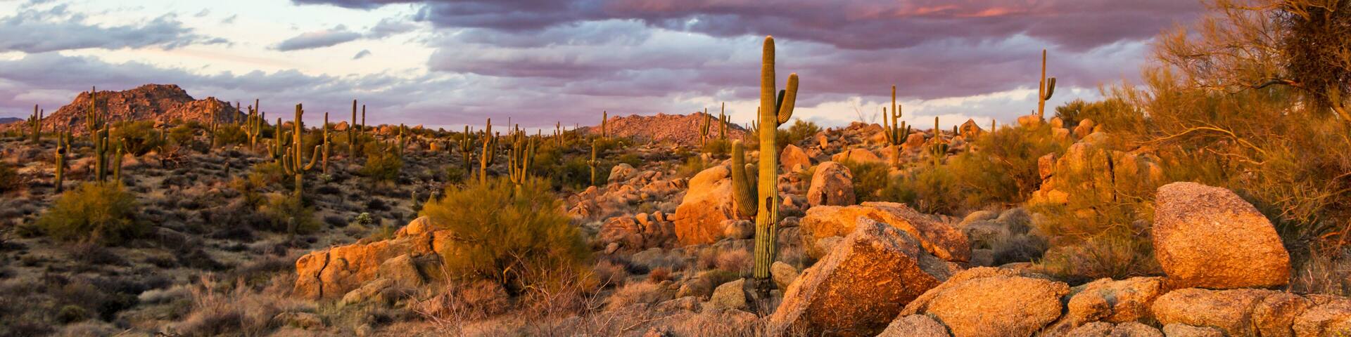 Sunset Image Of Browns Ranch Preserve In North Scottsdale, AZ