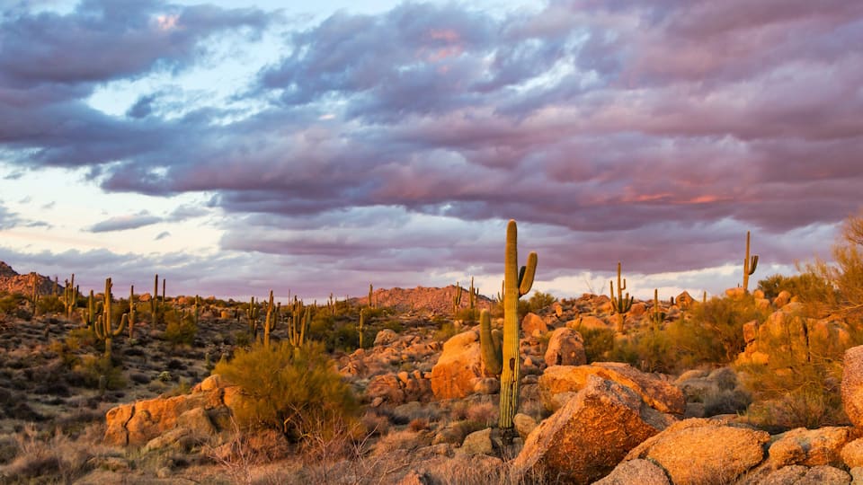 Sunset Image Of Browns Ranch Preserve In North Scottsdale, AZ