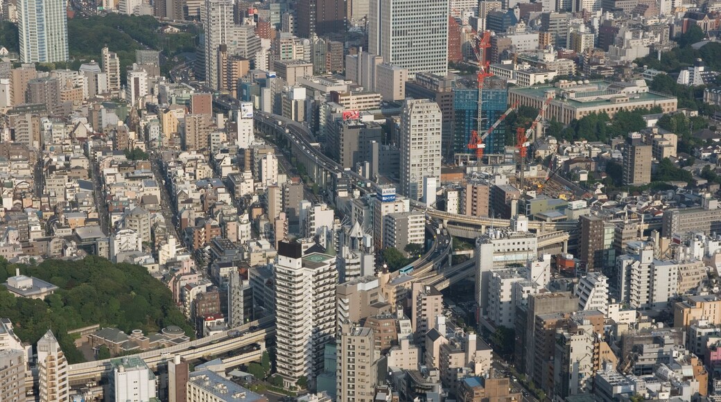 Tokyo City view