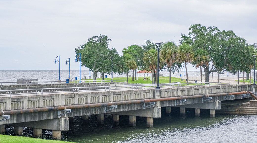 Bridge Over an Outflow Canal and Lake