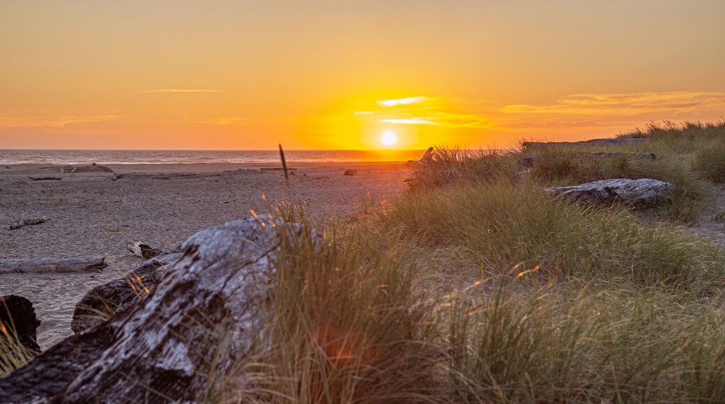 Sunset over the Pacific Ocean with grasses and drift wood