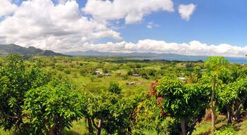 Panorama of the Fijian West Coast.