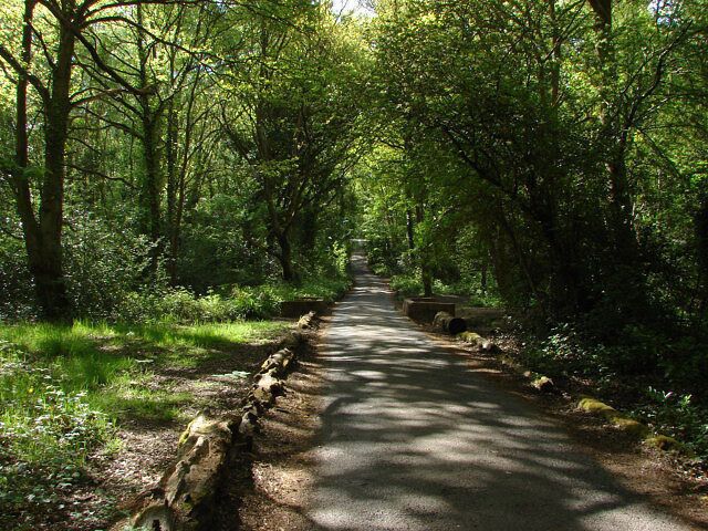St John's Lye — Borough of Woking.