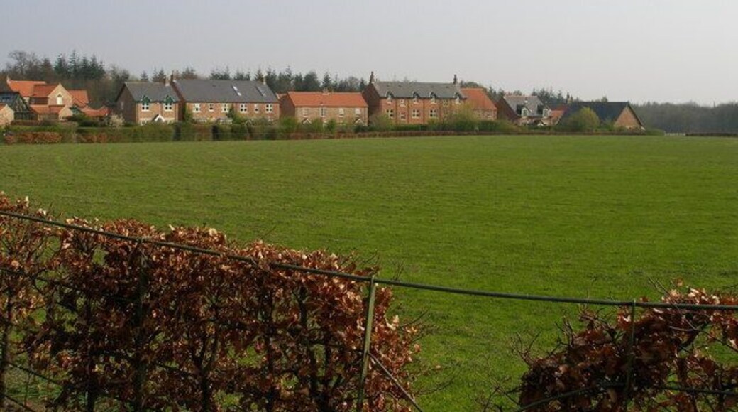 Wynyard village cricket ground. The cricket pitch has been completely built round, one of the roads being appropriately named 'The Oval'. A local informs me that only one or two matches are played here each year.
