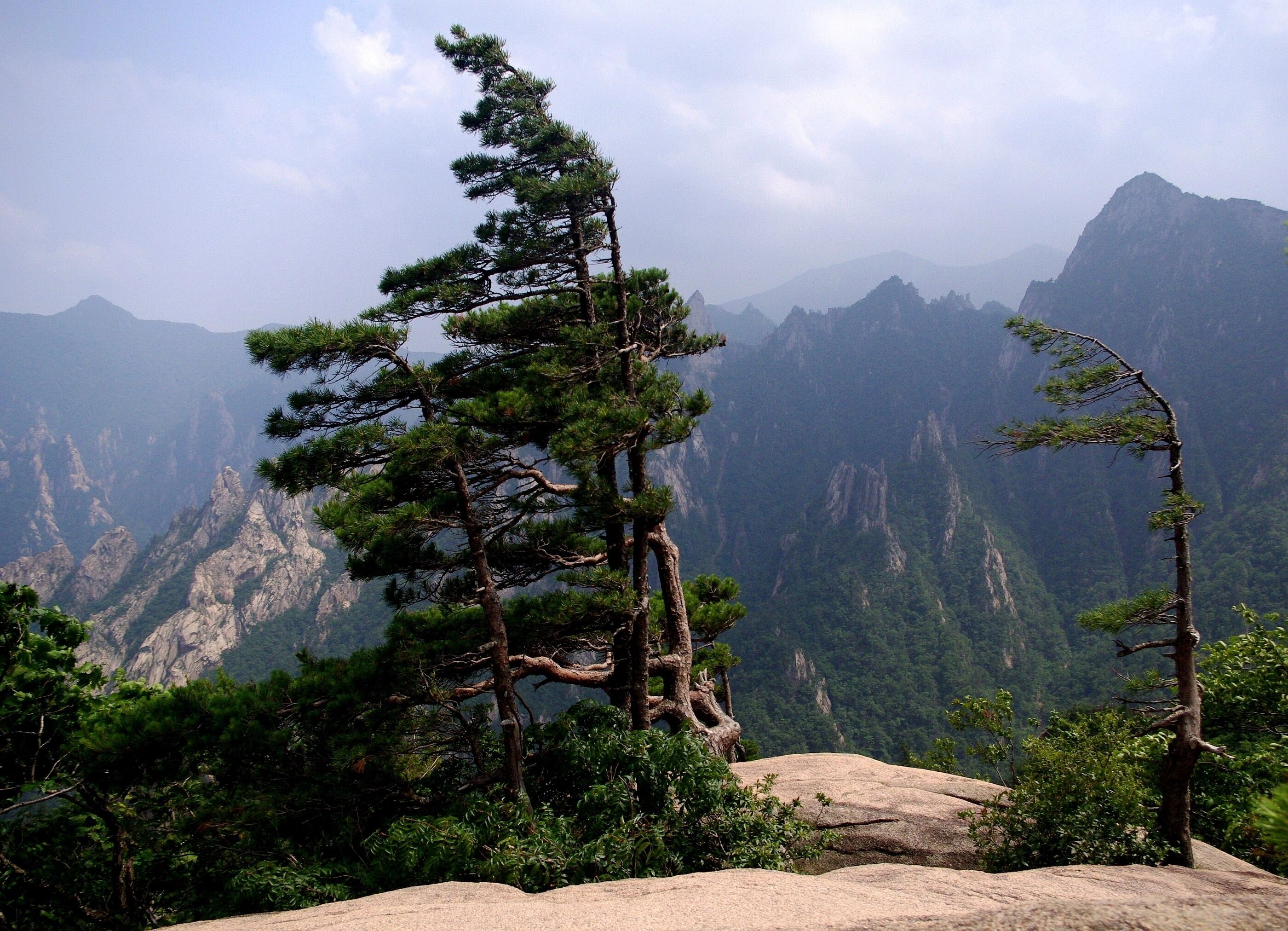 This is a picture of the protected area listed at WDPA under the ID