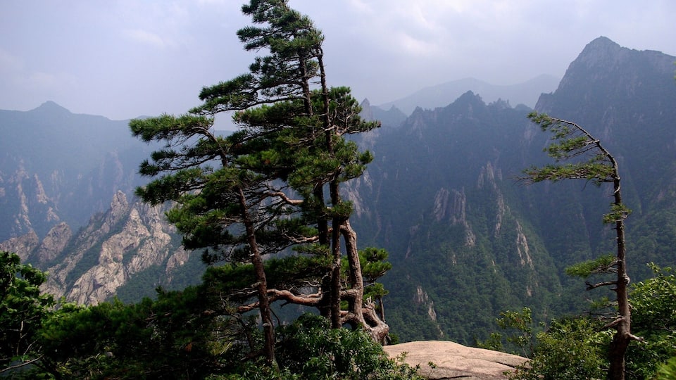 This is a picture of the protected area listed at WDPA under the ID