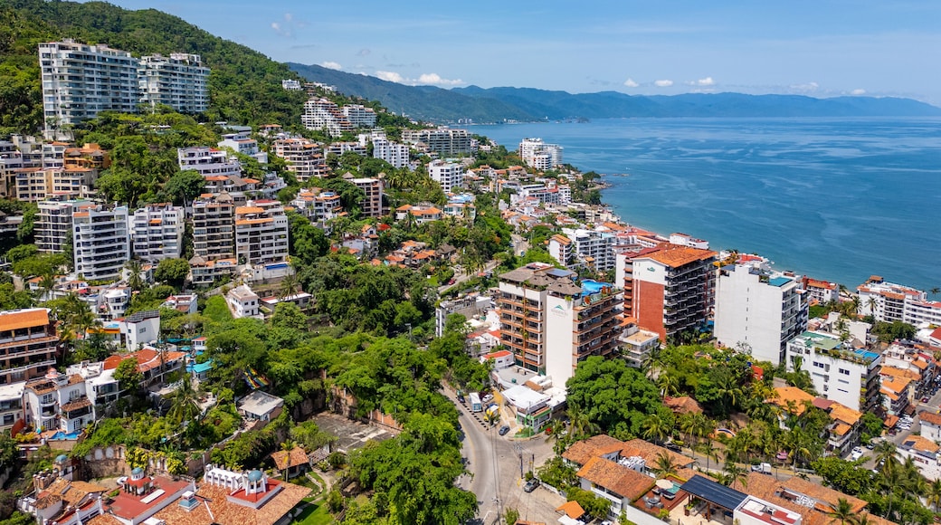 Amapas Puerto Vallarta