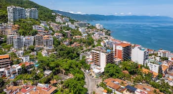 Amapas Puerto Vallarta