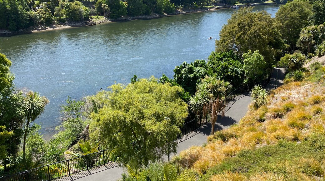 Waikato River trail through central Hamilton