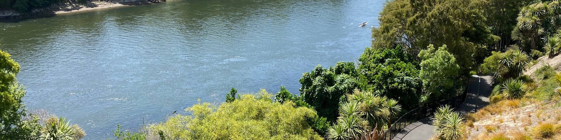 Waikato River trail through central Hamilton