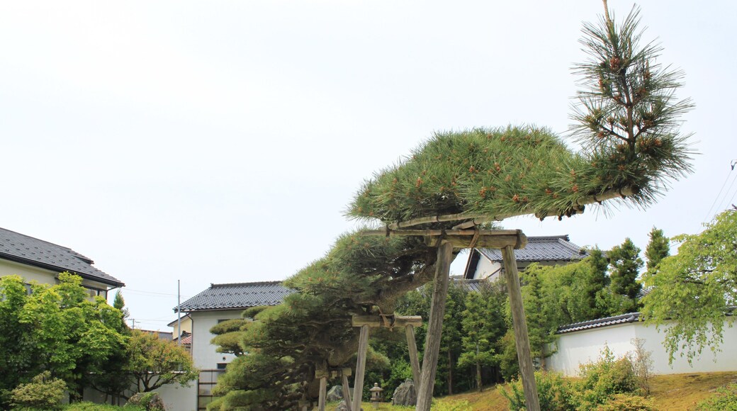 念珠の松庭園