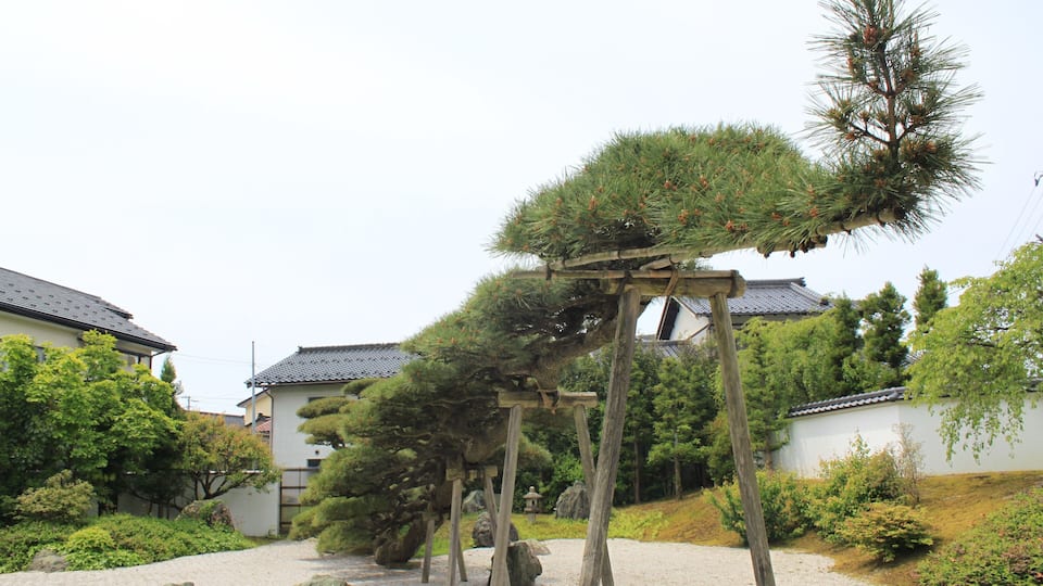 念珠の松庭園